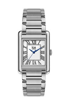 Watch ICE POWER PW6 Silver – Ice-Watch