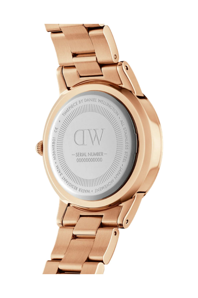Montre Iconic Link amber RG&Brown D40 - 4