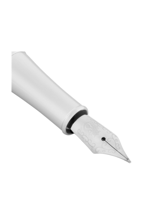 Fountain pen Classicals Brushed Black & Chrome - 6