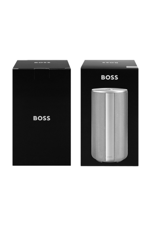 Connected speaker Elemental Silver - 4