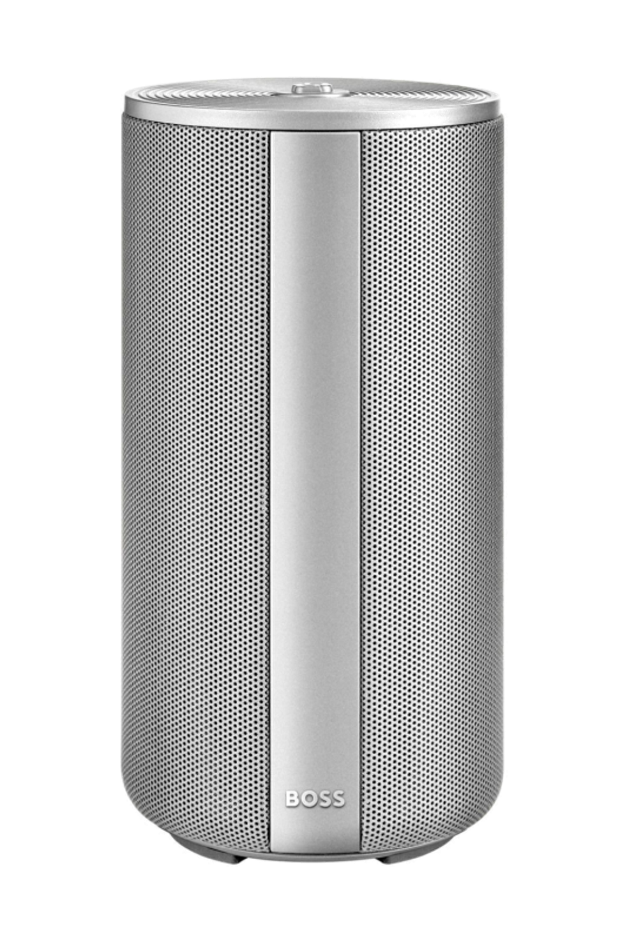 Connected speaker Elemental Silver
